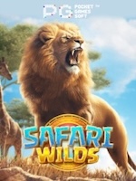 Safari-Wilds game thumbnail